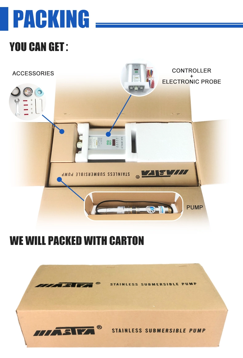Mastra 3 Inch 4 Inch Stainless Steel DC Solar Power Submersible Screw Impeller Borehole Pumps with Control Box Deep Well Solar Water Pump