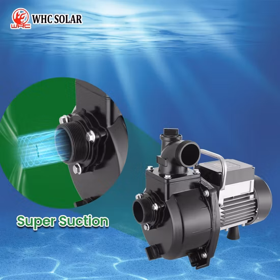 DC AC 하이브리드용 MPPT 컨트롤러가 포함된 최고 품질의 수중 태양열 워터 펌프, 3년 보증